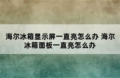 海尔冰箱显示屏一直亮怎么办 海尔冰箱面板一直亮怎么办